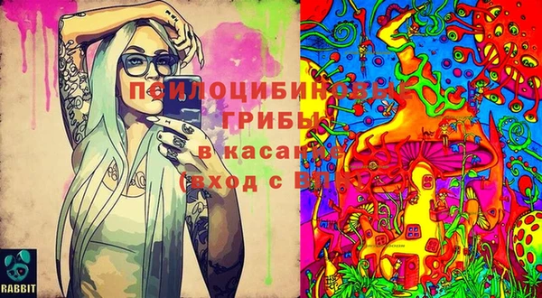 марки lsd Ельня