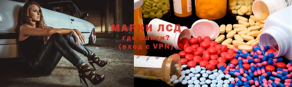 мдпв Елабуга
