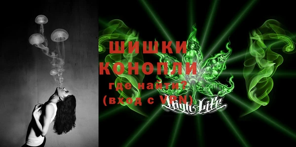 ГАЛЛЮЦИНОГЕННЫЕ ГРИБЫ Заволжье