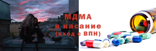 мдпв Елабуга