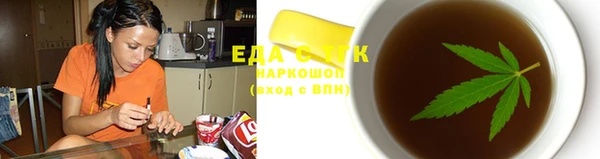 мдпв Елабуга