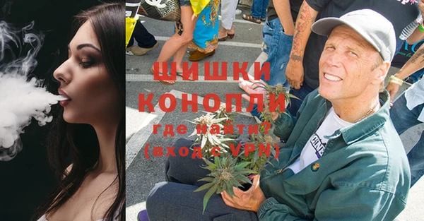 мдпв Елабуга